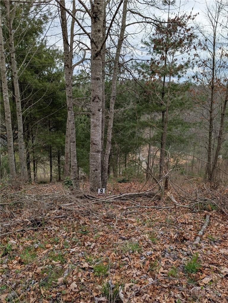 Tbd Savannah Ridge Road Property Photo 2