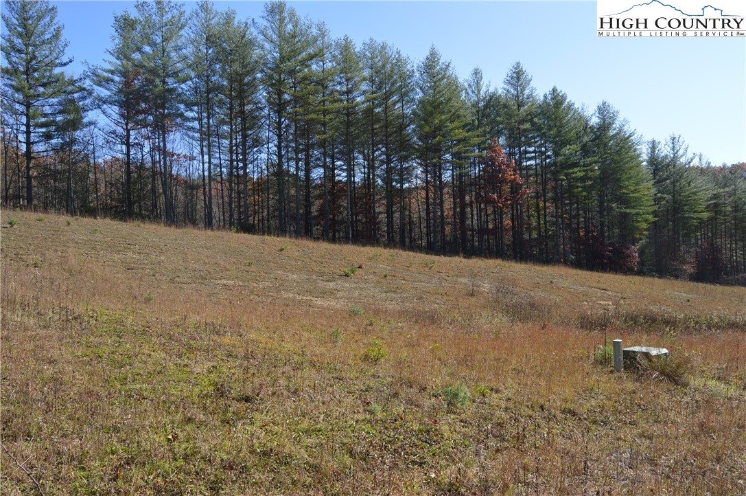 Tbd Savannah Ridge Road Property Photo 3