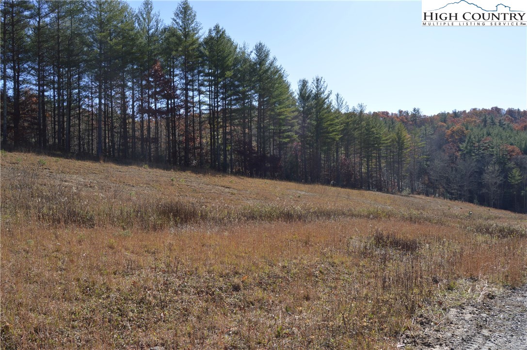Tbd Savannah Ridge Road Property Photo 6
