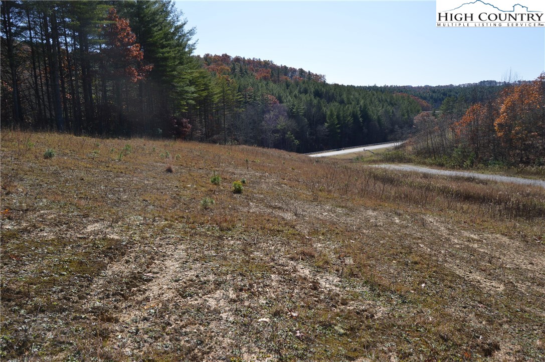 Tbd Savannah Ridge Road Property Photo 9