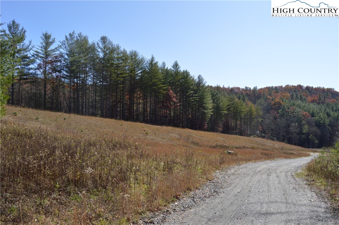 Tbd Savannah Ridge Road Property Photo 10