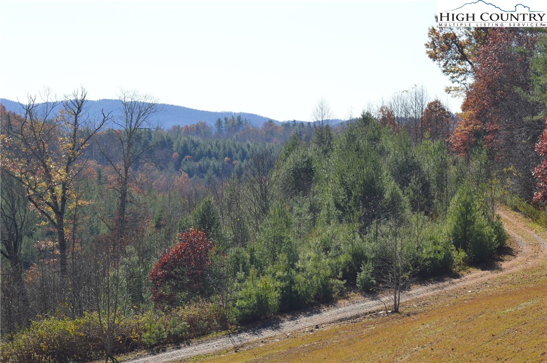 Tbd Savannah Ridge Road Property Photo 12