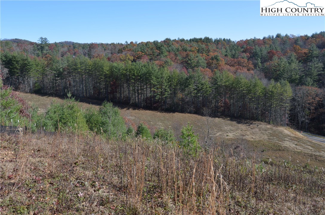Tbd Savannah Ridge Road Property Photo 15