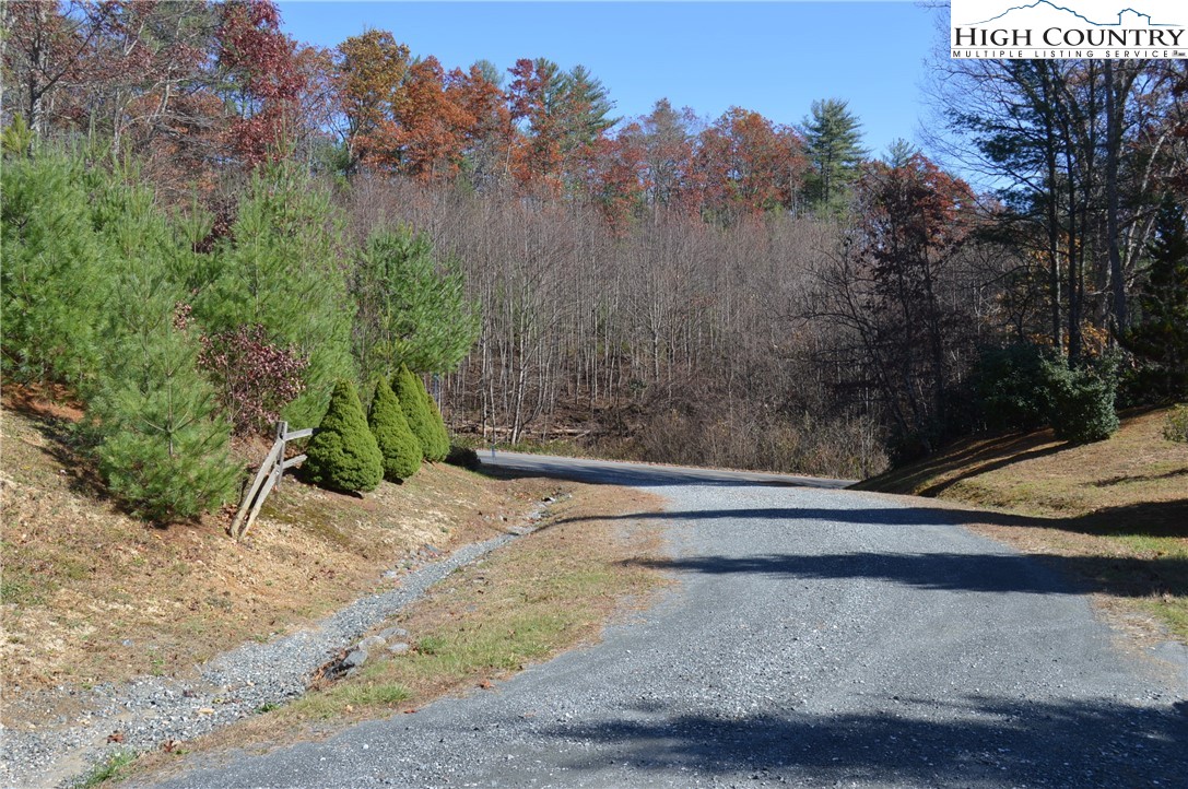 Tbd Savannah Ridge Road Property Photo 17