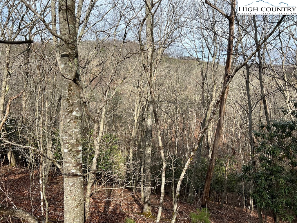 19 Speckled Drive Property Photo 1