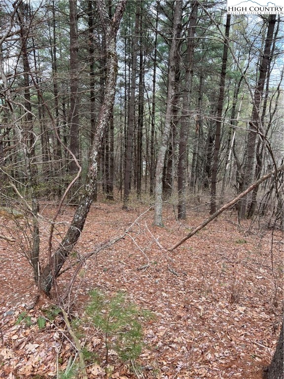 3 Speckled Drive Property Photo 1
