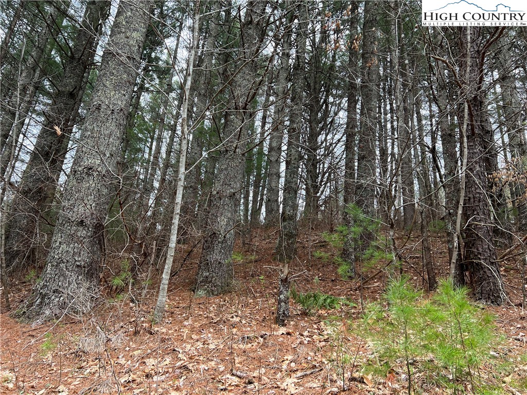5 Speckled Drive Property Photo 1