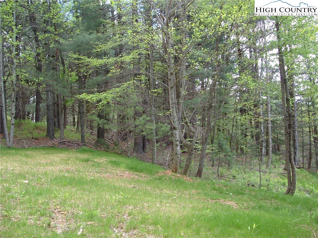 Lot 9 Talon Drive Property Photo 2