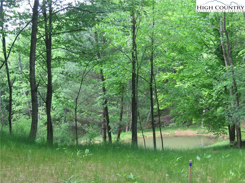 Lot 12 Talon Drive Property Photo 2