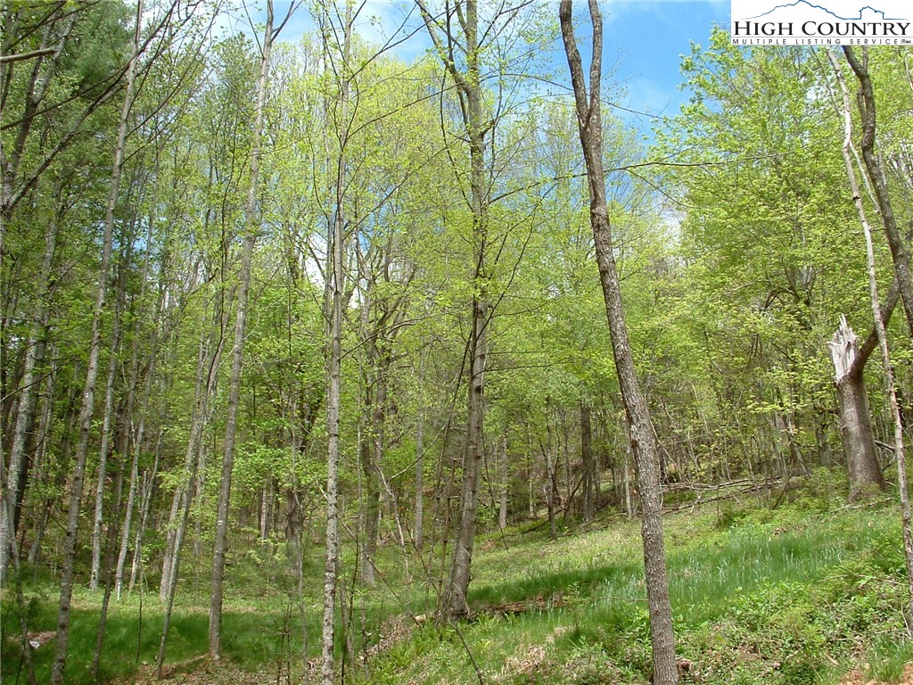 Lot 12 Talon Drive Property Photo 3