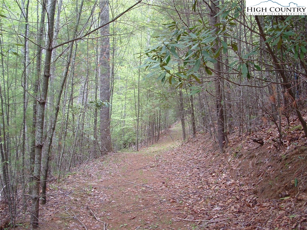 Lot 1 Sec Ii Talon Drive Property Photo 3