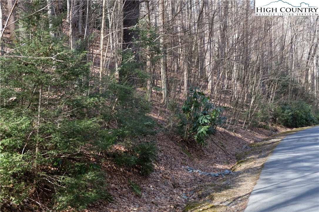 Lot 6b Twin Rivers Drive Property Photo 6