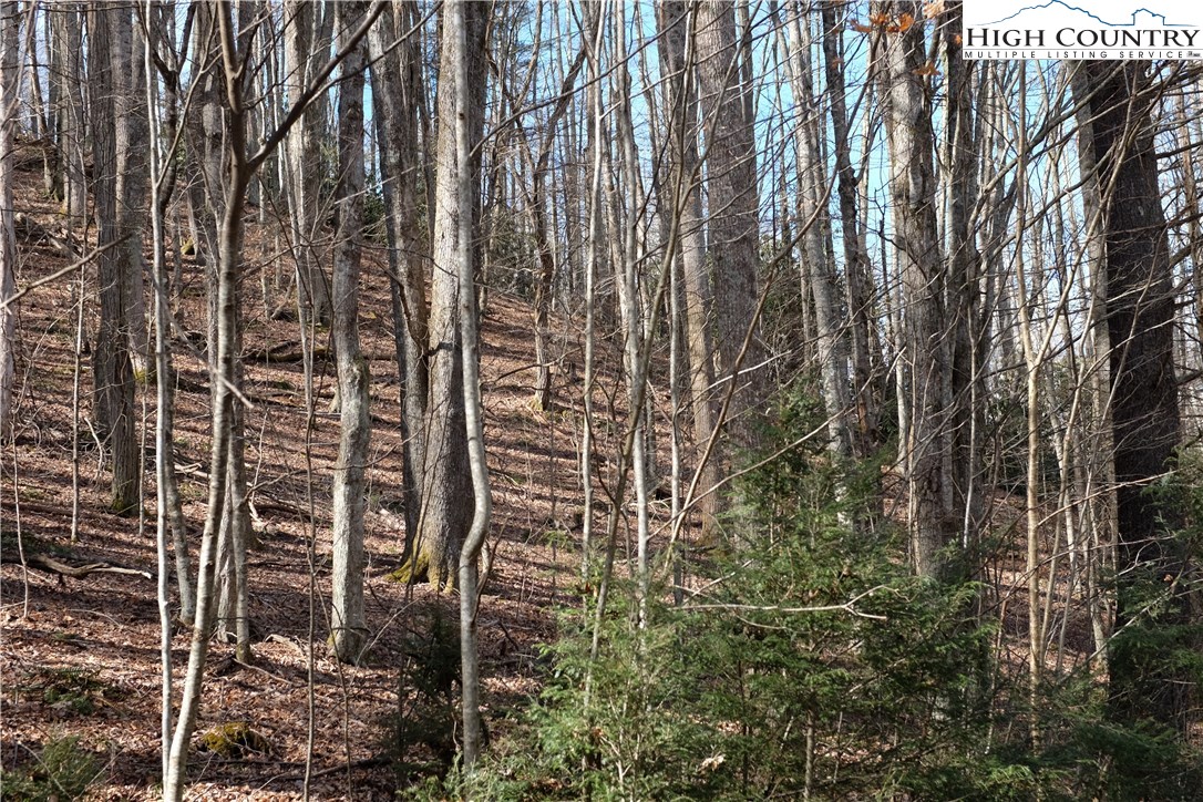 Lot 6b Twin Rivers Drive Property Photo 7