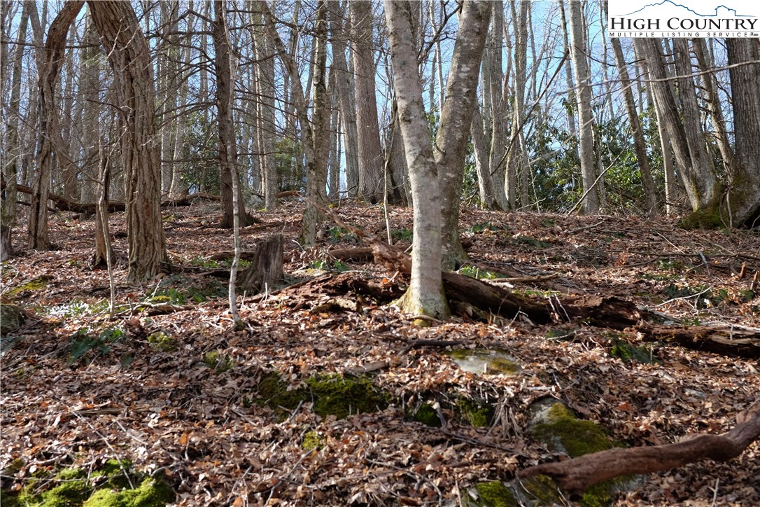 Lot 6b Twin Rivers Drive Property Photo 8