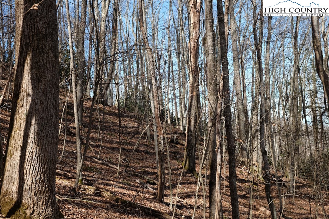 Lot 6b Twin Rivers Drive Property Photo 9