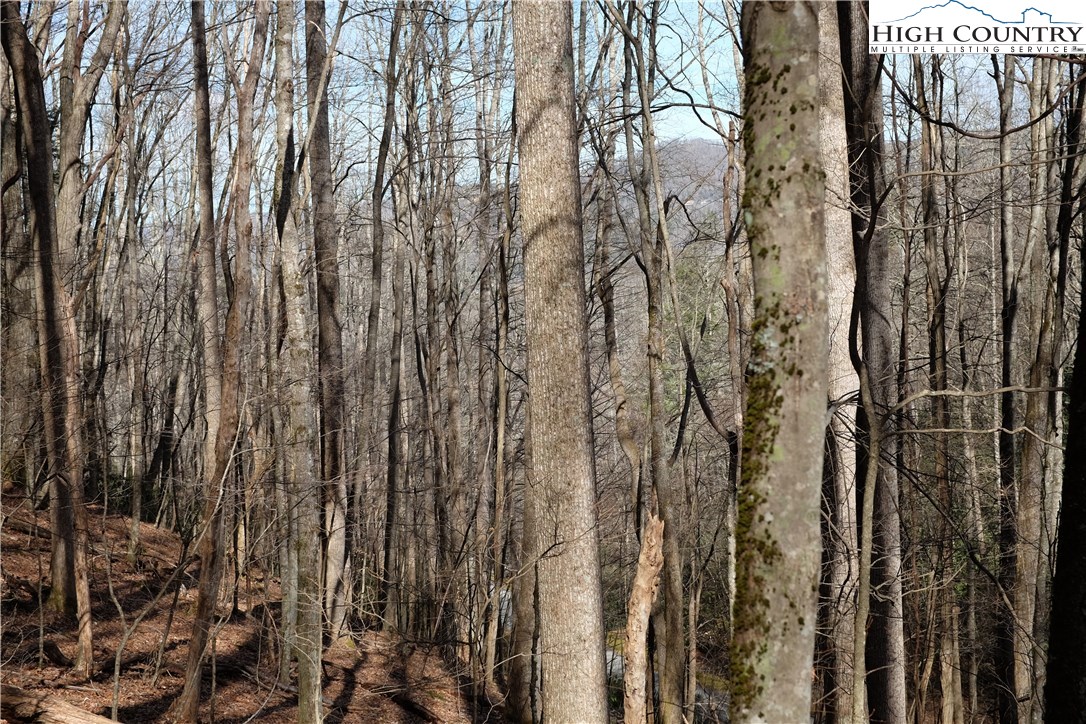 Lot 6b Twin Rivers Drive Property Photo 10