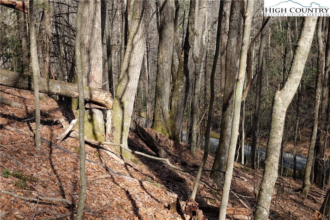 Lot 6b Twin Rivers Drive Property Photo 12