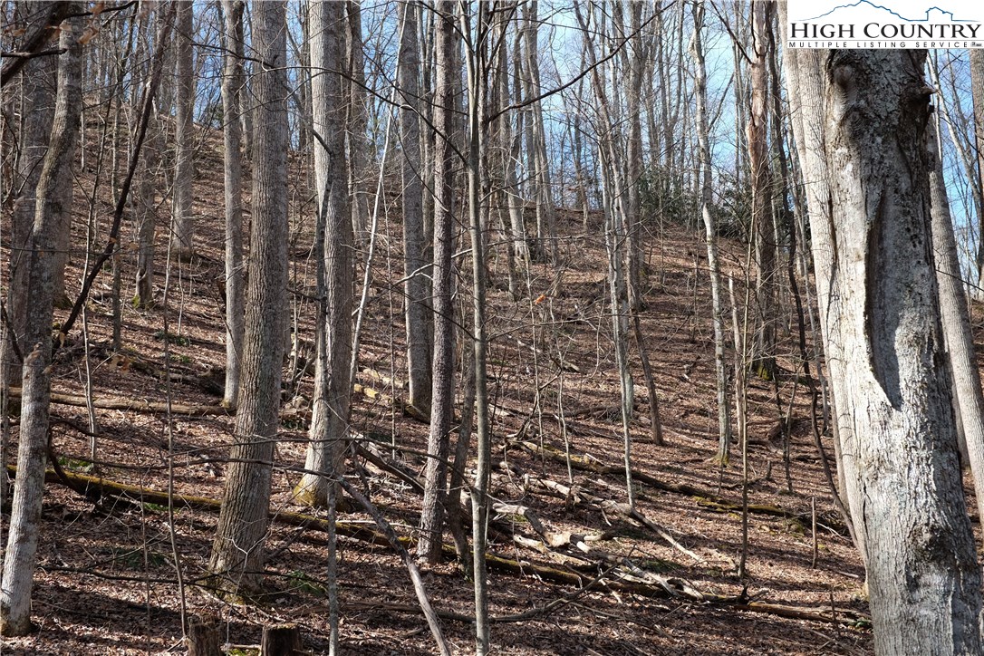 Lot 6b Twin Rivers Drive Property Photo 15