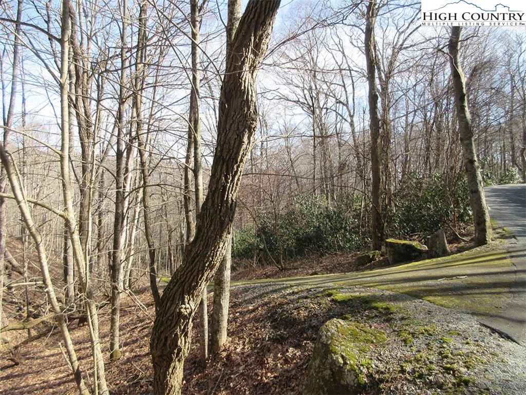 Lot 14 Saul's Camp Road Property Photo 3