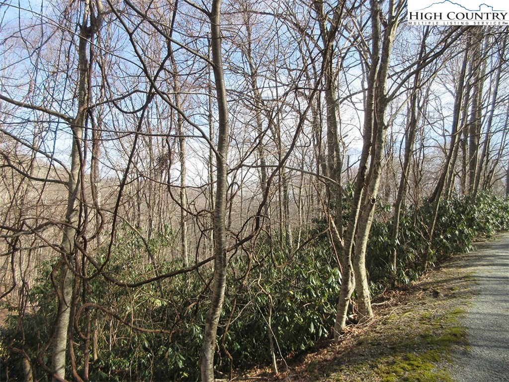 Lot 14 Saul's Camp Road Property Photo 4