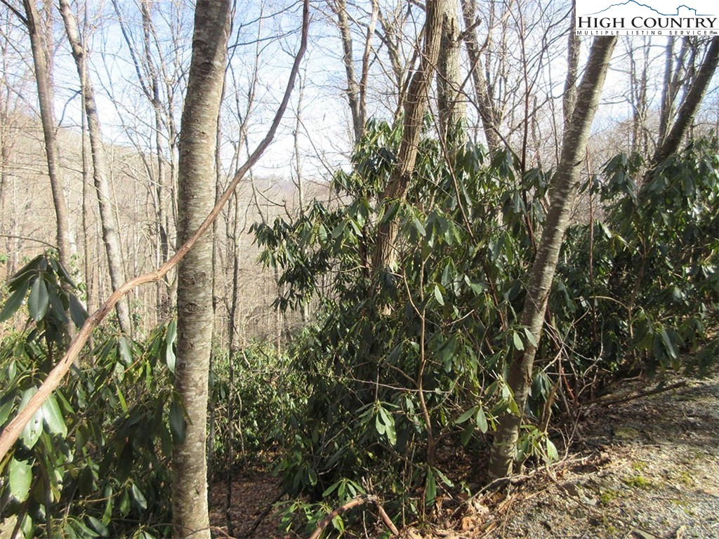 Lot 14 Saul's Camp Road Property Photo 5
