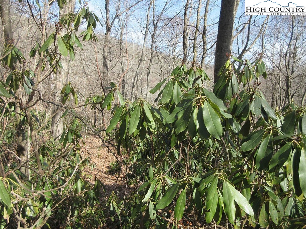 Lot 14 Saul's Camp Road Property Photo 6