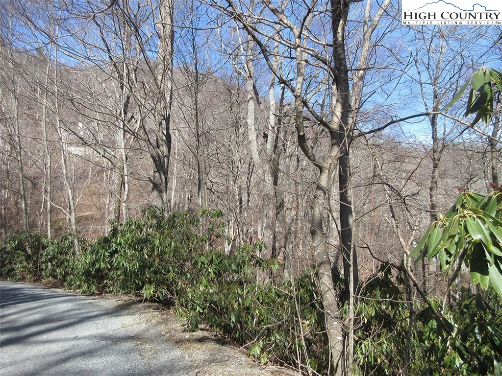 Lot 14 Saul's Camp Road Property Photo 7
