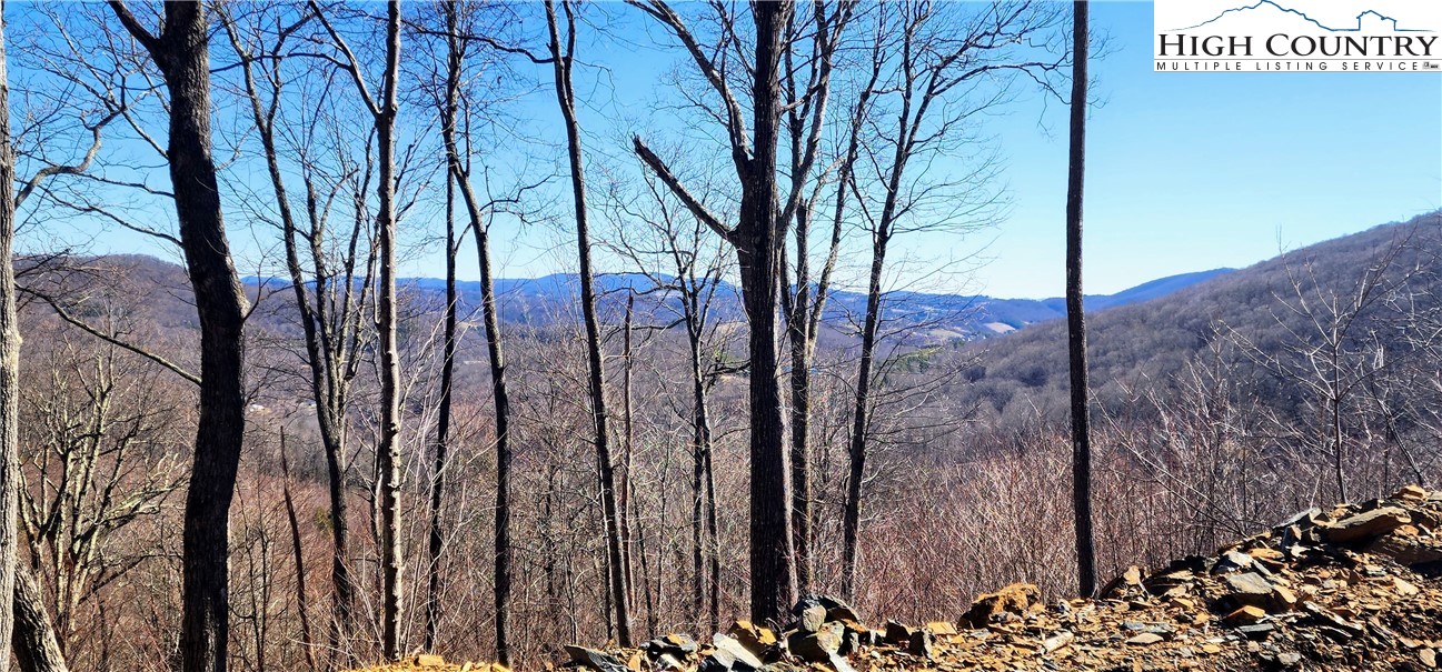 Lot 23 Bob Timberlake Drive Property Photo 1