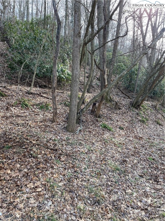 Tbd Broadstone Road Property Photo 11