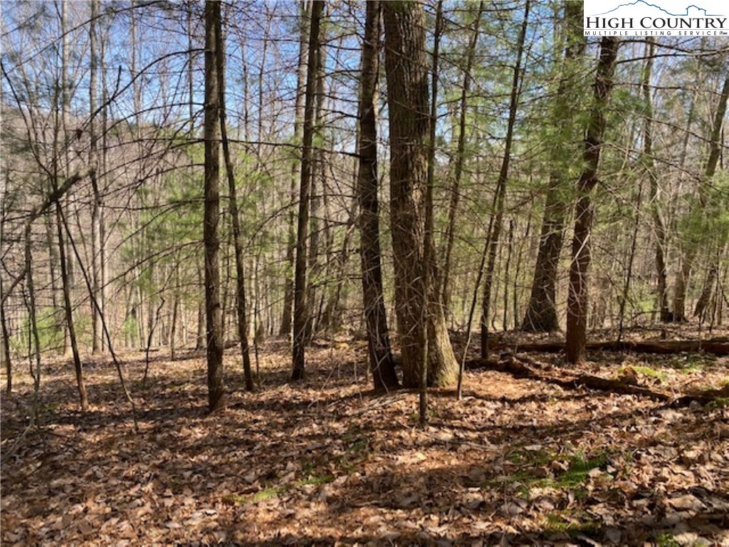 Tbd Forest Hill Drive Property Photo 1