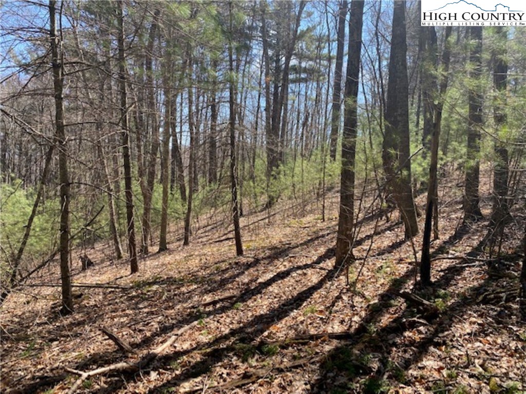 Tbd Forest Hill Drive Property Photo 2