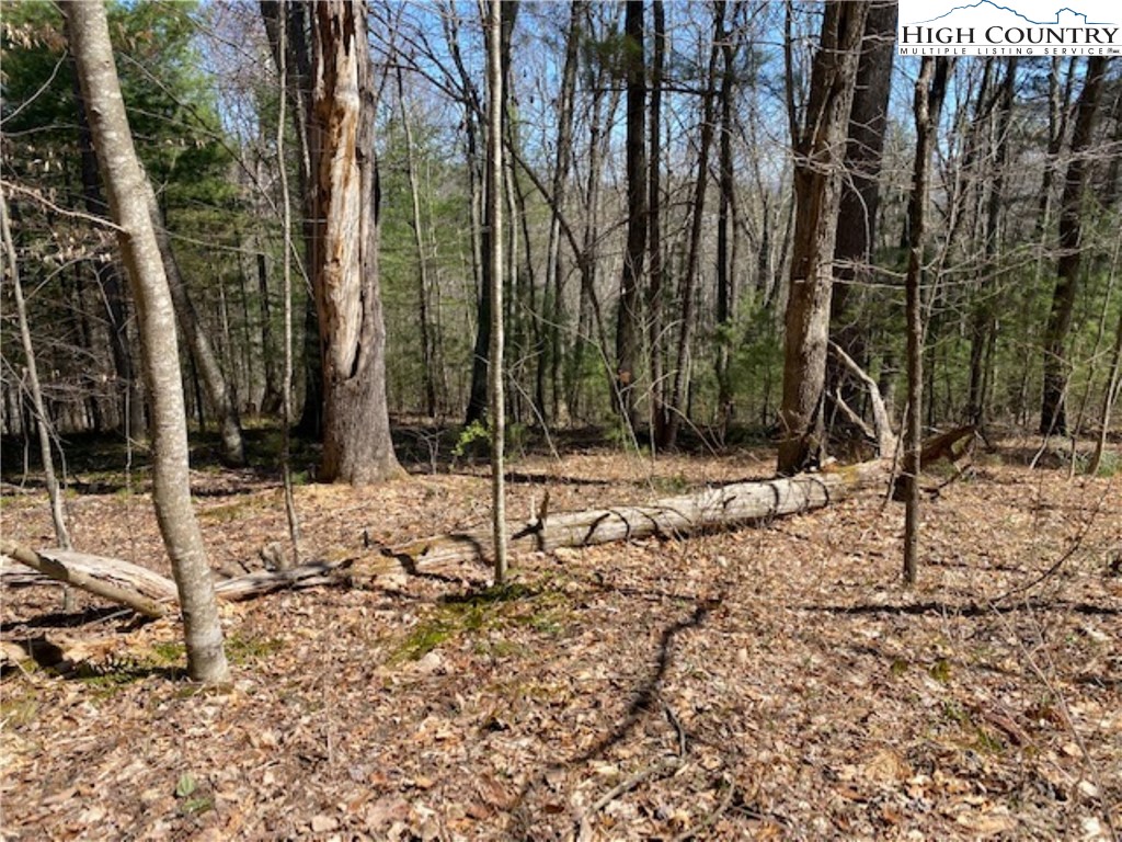 Tbd Forest Hill Drive Property Photo 4