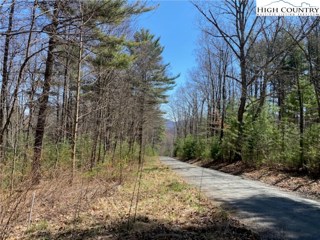 Tbd Forest Hill Drive Property Photo 6