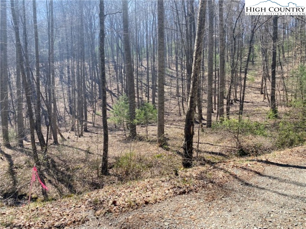 Tbd Forest Hill Drive Property Photo 7