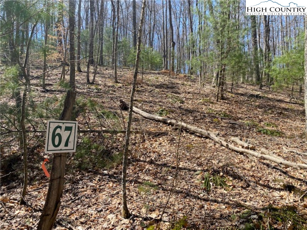 Tbd Forest Hill Drive Property Photo 8