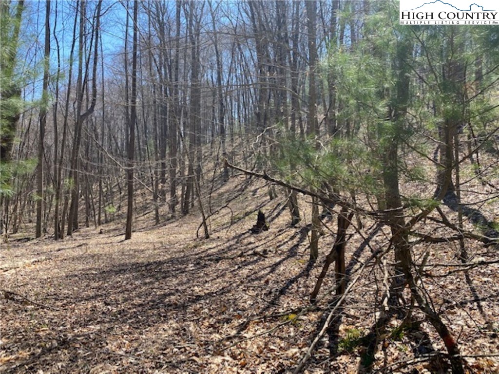 Tbd Forest Hill Drive Property Photo 9