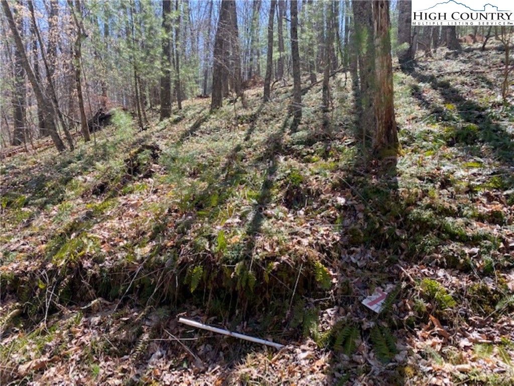 Tbd Forest Hill Drive Property Photo 10