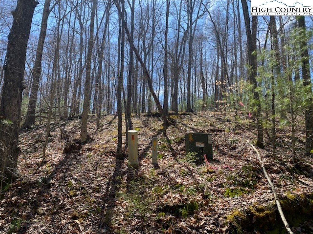 Tbd Forest Hill Drive Property Photo 11