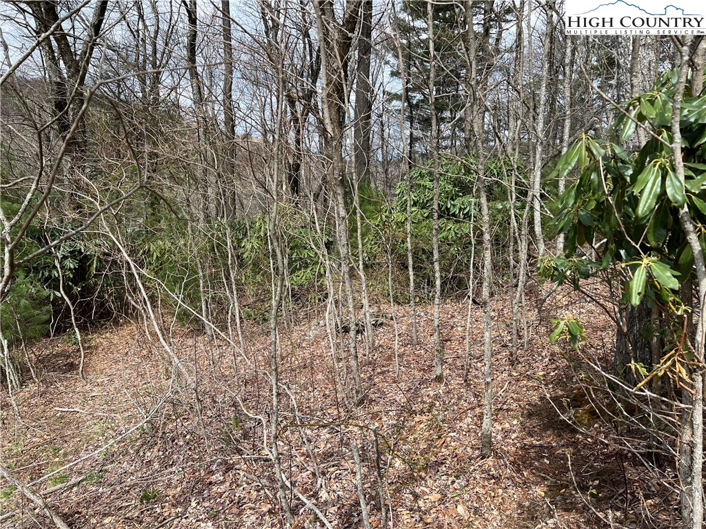 Lot 3 Cora's Path Property Photo 2