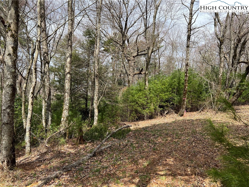 Lot 3 Cora's Path Property Photo 3