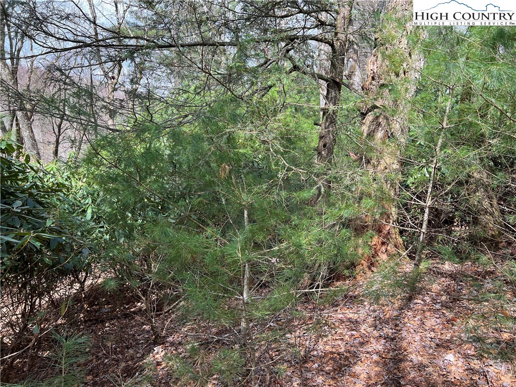 Lot 3 Cora's Path Property Photo 4