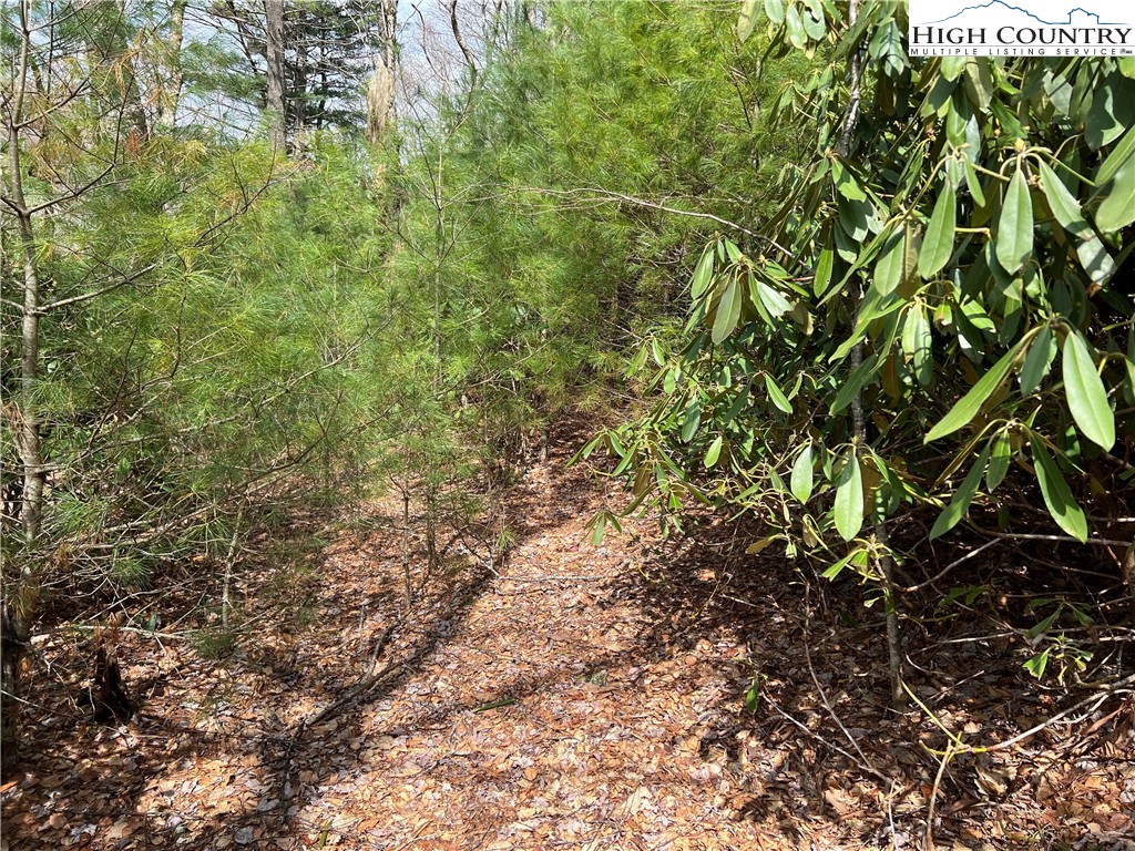 Lot 3 Cora's Path Property Photo 5