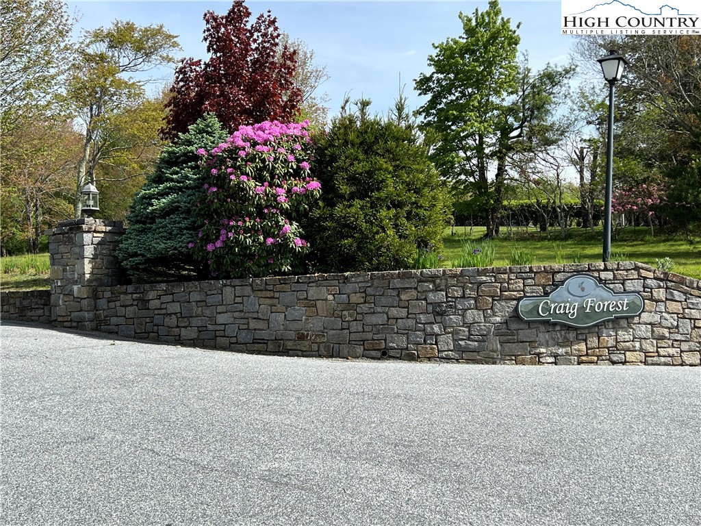 Lot 5 Cora's Path Property Photo 1