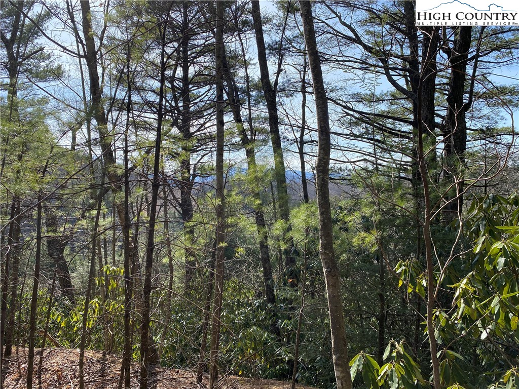 TBD Poplar Grove Road Property Photo 1