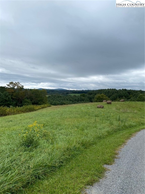 Lot #16 Fox Trot Lane Property Photo 1
