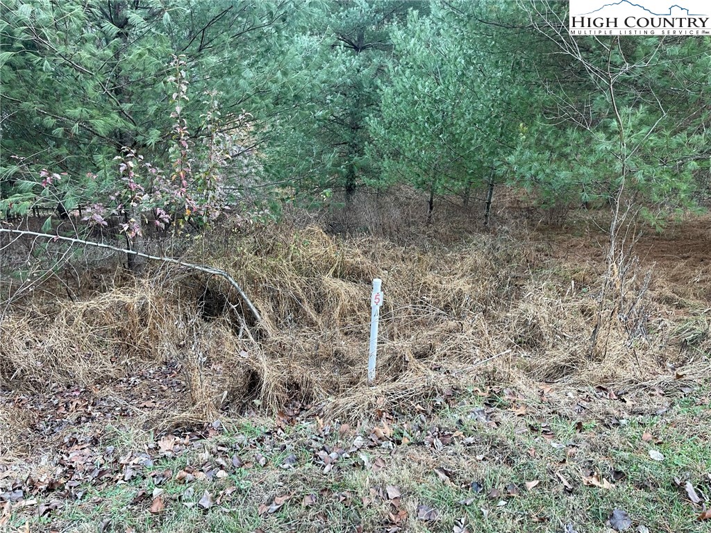 Lot 5a Evergreen 5a Property Photo 1