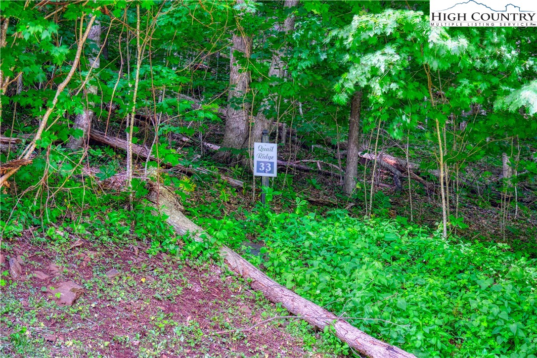 Lot 33 Quail Ridge Drive Property Photo 2