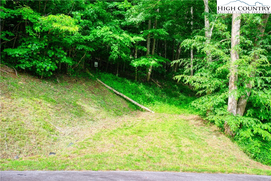 Lot 33 Quail Ridge Drive Property Photo 4