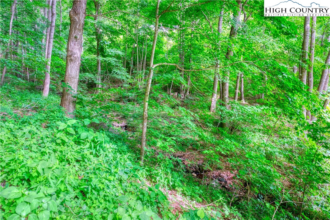 Lot 33 Quail Ridge Drive Property Photo 6