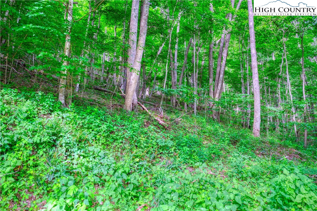 Lot 33 Quail Ridge Drive Property Photo 7